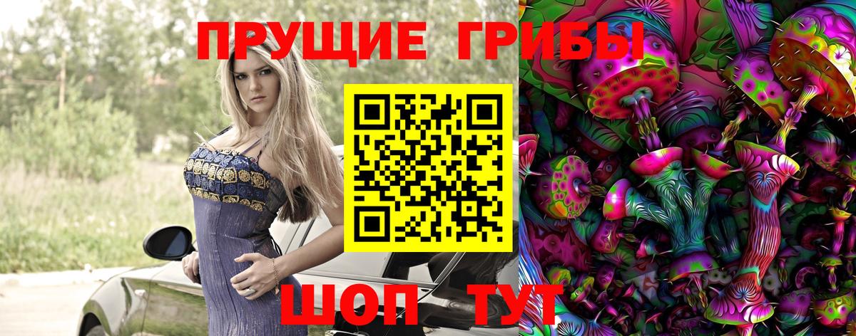 где найти   Вход с VPN  Великий Устюг  Галлюциногенные грибы MAGIC MUSHROOMS  Псилоцибиновые грибы Psilocybine cubensis 